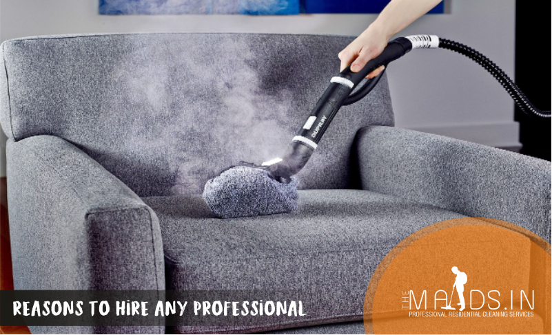 professional sofa cleaning service