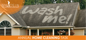 ANNUAL HOME CLEANING